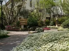 龙湖滟澜山边户带没有产权大院小区前排位置诚意出售