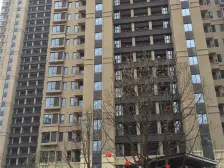 绿地国际博览城 看江看湖 房东诚心卖