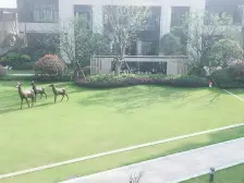 力高君御世家 南北通透,采光好 视野好,诚心出售