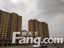 阳光交易 不收卖方返费 不吃买方差价