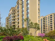 家具全送 采光好 产权清晰 必看好房