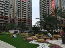 碧桂园大三房 飞机户型 看园林 景观好