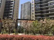 近嘉闵线,电梯四房,品质小区,满五税少,沿河无遮挡