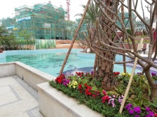 前海山边卫别墅 格局无变动 带大花园