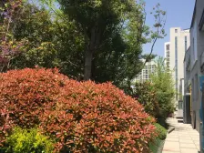 嘉定新城·保利天琴宇舍-远香湖路600弄·3室·2厅