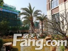 金地前海山别墅诚意出售,随时看房!