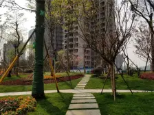 高铁旁 十二中旁 四房双卫 诚心出售