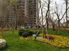 精装房,户型方正,视野开阔,空气清新,业主城心出售