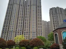 邹城碧桂园 2室1厅 南