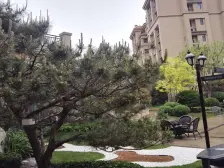 邹城碧桂园 3室2厅 南