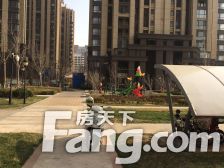 高楼层 采光视野好 双卧朝阳 经典户型 采光不错