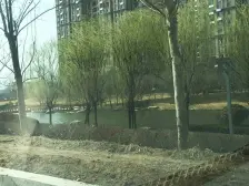 富力湾 4室2厅 南 北