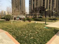 户型方正 单价不高 采光好 大三居适合改善一步到位