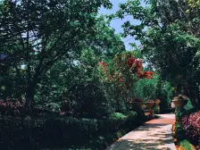 龙隐山东端户带大院子,适合宜居