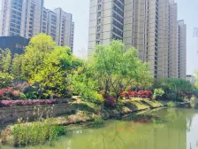 店长推荐,业主诚心急售!