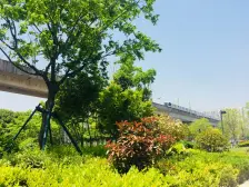 马陆 · 海伦堡广场 · 2室 · 1厅