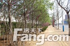 此房是三室两卫电梯现房南北通透全明户型万科物业