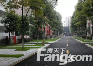 杜鹃城千万间 4室2厅 东北