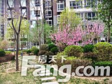 天地新城 3室2厅 南 北