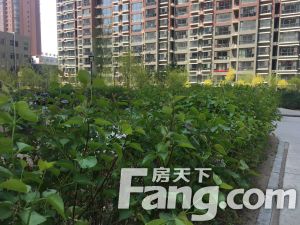 金汉御园 2室1厅 南