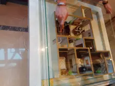 中庚雷诺花园 两室 70年 精装修30万 近地铁