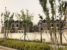 普罗理想国洋房 院子100平 挑高地下室120平 中医药