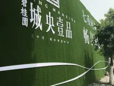 碧桂园城央壹品132平米毛坯78万满二随意装修