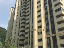 花园小区 花径美邻 正规院子 写在购房合同 私人庭院