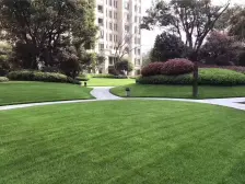 顶楼复式楼,上下两层,送大露台,房东诚心出售中