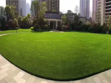 新力琥珀园一期 南北通透,采光好 装修好,环镜优美 中间楼层