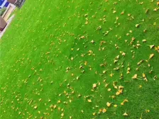 新力琥珀园二期 南北通透,采光好 装修好,环镜优美 视野好,诚心出售