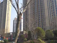 恒大园林,看房随时,业主急售,看房方便