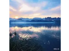 大竹林 新江与城天越四房555万