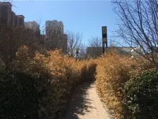 金地檀境电梯洋房,高举架,小区中间位置,南北朝向