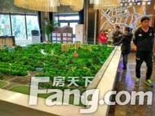 次新小区(2019年建成),封闭小区人车分流,楼层好。