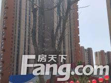 馥室成双,中间楼层,精装修,拎包入住。