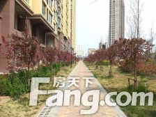 怡海小高精装修全天采光业主诚心出售价格可议