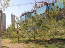 别墅!视野宽阔,采光充足,配套设施齐全,交通便利。