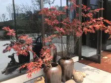 金科纯次新小区 临轻轨 户型方正、环境优美适合居家