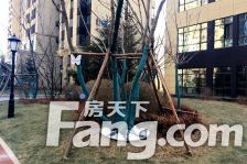 ±£Àû´ó¶¼»á Á½ÊÒ ÖмäÂ¥²ã Á½ÌÝÈý»§ ²É¹âºÃ ³ÏÐÄÂô