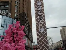 新上轻轨口海星生活广场,精致装修两室两厅,双阳台,拎包入住!