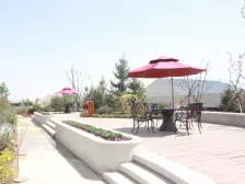 楼层好 无遮挡 采光好 无抵押 全款房