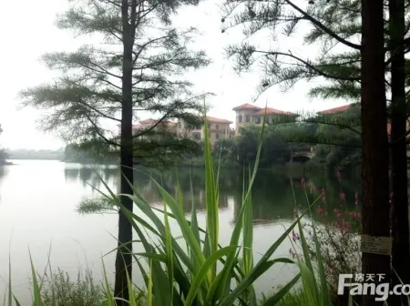 房源图片