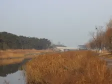 一楼带负一层带院子,经典耳朵户型,小区中间位置