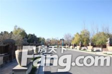 本房独栋别墅 西区边户 全明格局 带装修三层