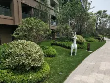 中间层带前后露台 精装修很用心