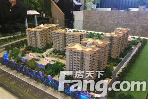 碧桂园悦府 3室1厅 东