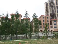 70年产权住宅 轻轨+双地铁 楼下就是商场和地铁