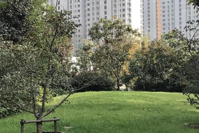 西溪花园