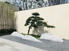 两梯两户大平层 带入户院馆 40平大客厅 朝南